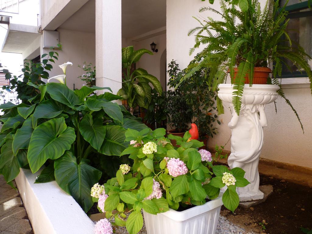 Tribalj Apartments Sanda Tribunj מראה חיצוני תמונה