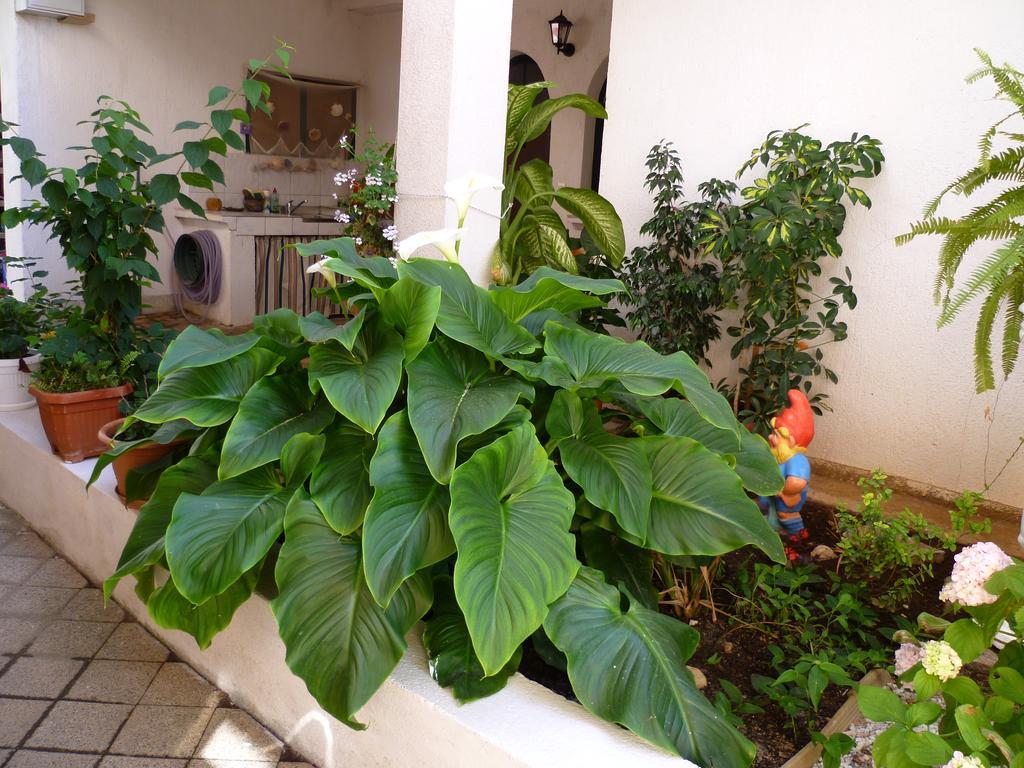 Tribalj Apartments Sanda Tribunj מראה חיצוני תמונה