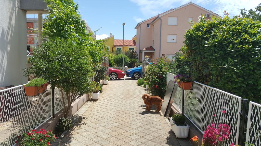 Tribalj Apartments Sanda Tribunj מראה חיצוני תמונה