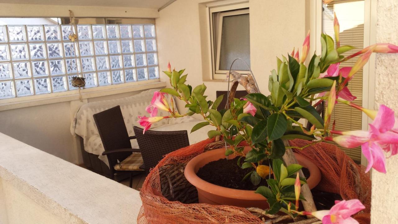 Tribalj Apartments Sanda Tribunj חדר תמונה